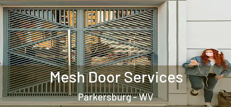 Mesh Door Services Parkersburg - WV